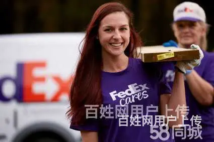 成都武侯区主营加拿大，美国海运拼箱/整柜双清DDU/DDP - 图片 8