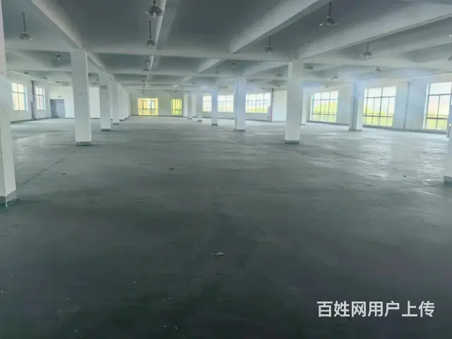 单层2000平注塑厂房出租，层高9米，有环评。可挂靠 - 图片 3