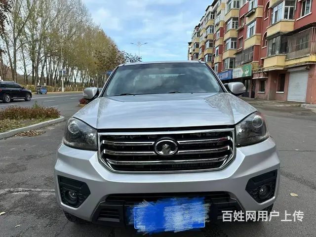 其他 皮卡 - 图片 1
