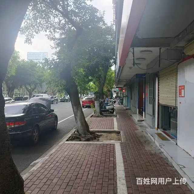 （51旺铺推荐）龙华区玉河路15平椰子批发店转让 - 图片 5