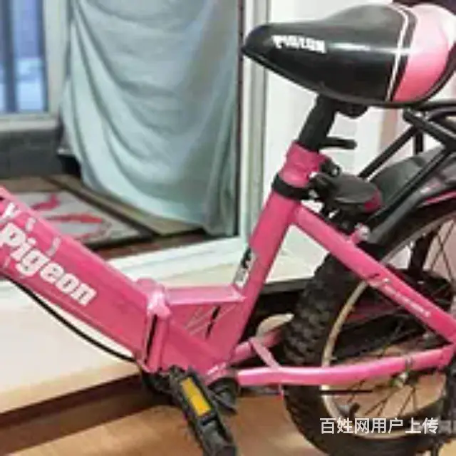 【搞定了！】儿童飞鸽品折叠自行车，99全新，折叠后可放汽后备 - 图片 3