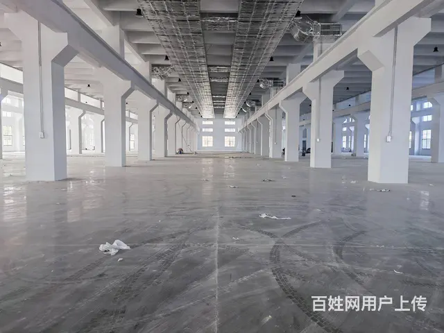 礼嘉新建一层厂房《真实有效》原子大 - 图片 6