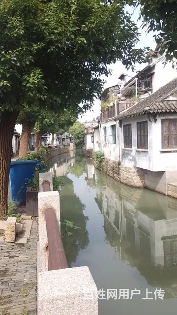 征婚 - 图片 2