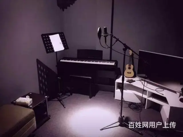 昆山哪里有成人学唱歌，小孩学唱歌哪里专业，* - 图片 4