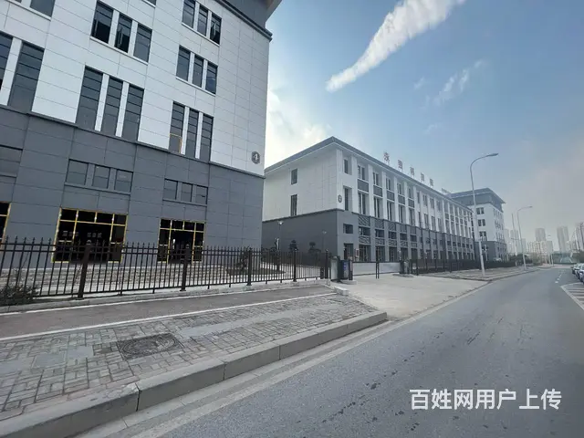 自有全新园区招租 单层独栋 多面积段 业态不限 欢迎咨询看房 - 图片 3