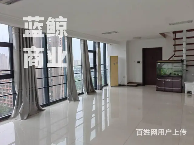 新城绿地蓝海120平复式 - 图片 4
