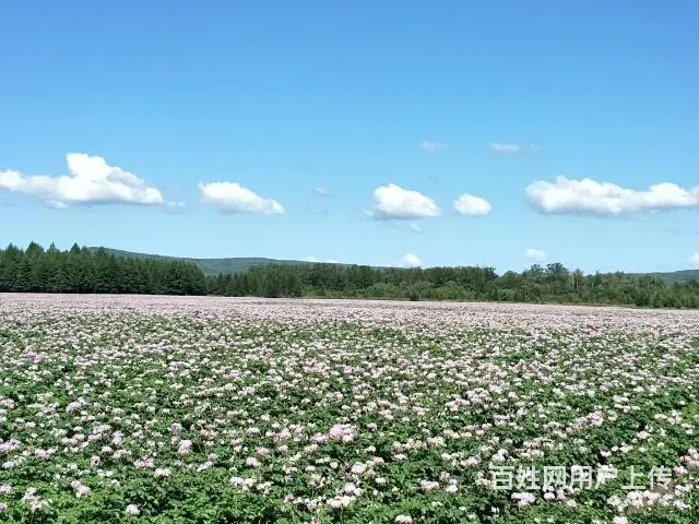 呼伦贝尔旅游包车师傅排名商家信誉好 - 图片 4