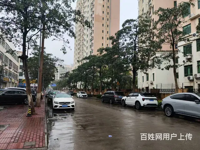（51旺铺推荐）金盘学校旁750平旺铺招租 - 图片 6