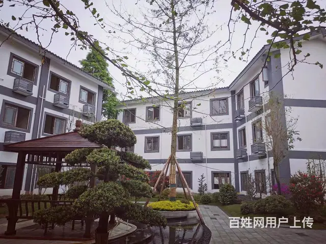 青城山下 美温泉度假酒店 - 图片 1