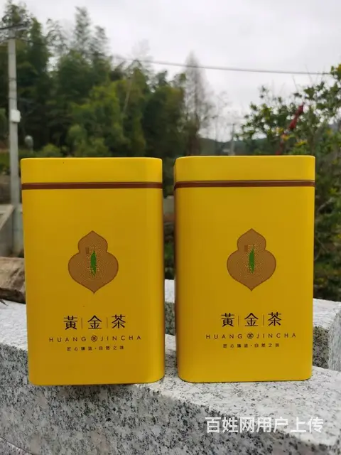 春节送礼选好茶 黄金叶茶 安吉白茶 小戴白茶直销 - 图片 3