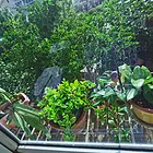 精装一居开间全齐，拎包住12层的4楼
