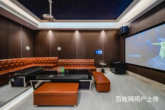 方远国强联合商墅，一万多一平的合院别墅 - 图片 8