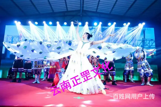 婚礼拍摄、会议直播、摄影摄像、演出录制、网红直播 - 图片 4