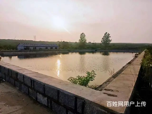 出售崖西果园及水库 - 图片 7