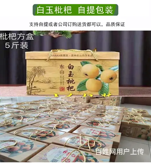 72颗特大果.本地苏州东山白玉白沙枇杷新鲜采摘 - 图片 10