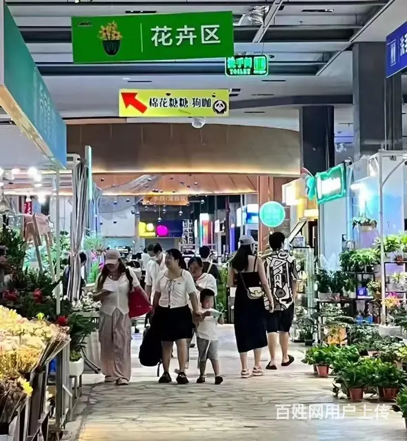 中街益田假日鲜花绿植花鸟鱼文玩茶具档口出租可适合多种经营 - 图片 7