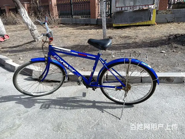 永久自行车 - 图片 4