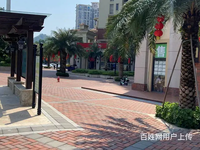 美林湖星汇半岛商业街 一线街铺 稳定租金 5年租约 - 图片 9