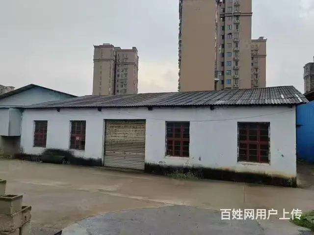 （个人发布）天心区中信广场旁360平方厂房仓库出租 - 图片 5
