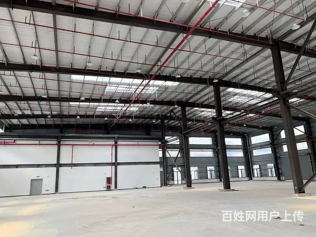 厂房出售  钢结构框架结构均有800平起卖 - 图片 2