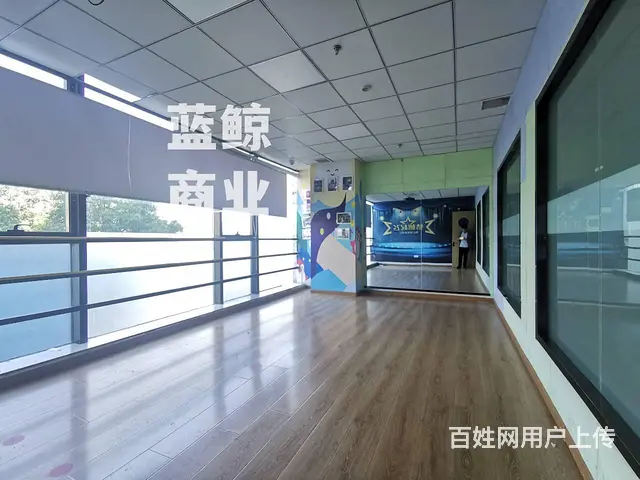 绿地瀛海300平纯办公 - 图片 5