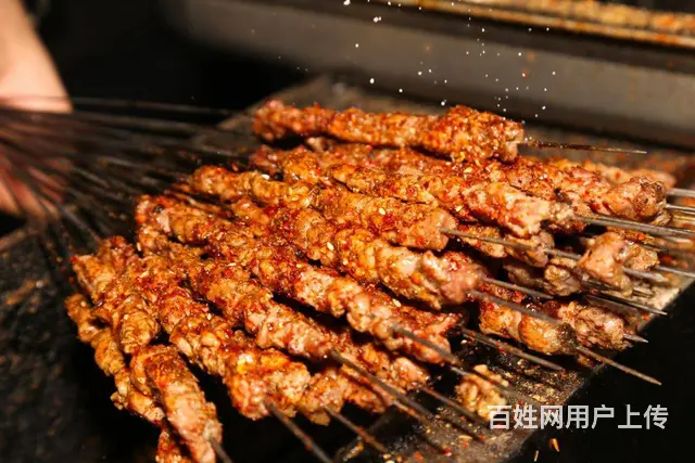 合肥学烧烤技术培训 - 图片 1