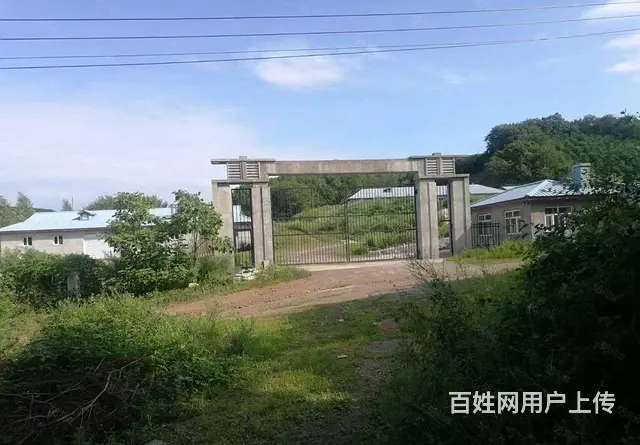 阿城黄榆沟养殖场出售 - 图片 1