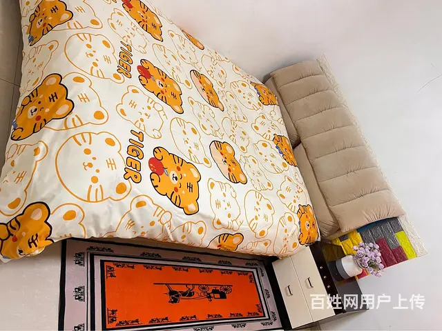 精装住宅公寓出租 - 图片 5