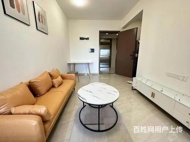 南湾区 中信红树湾旁 绿景玺悦湾，一房一厅，新装新家电 - 图片 5