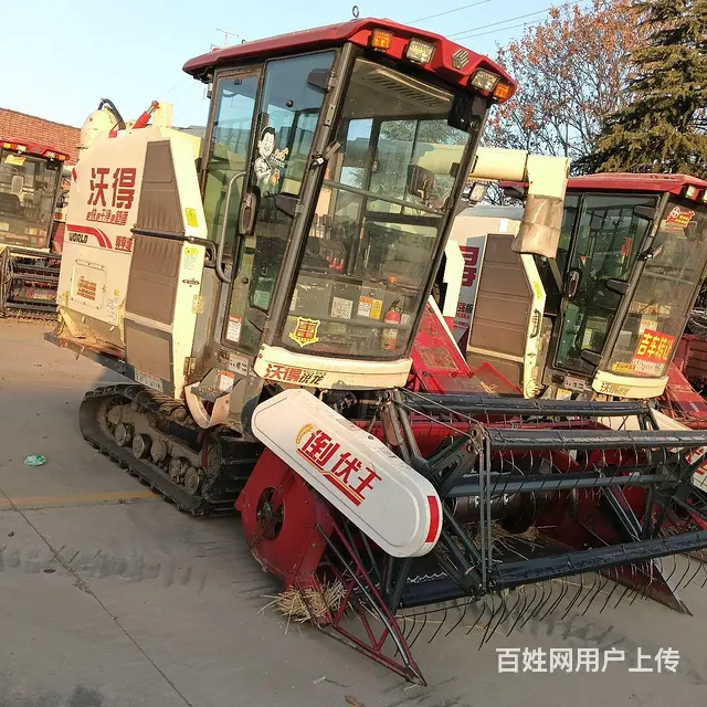 沃德小红帽 - 图片 9