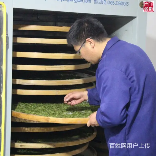 不忘初心 重新出发 小戴白茶 自产自销 - 图片 2