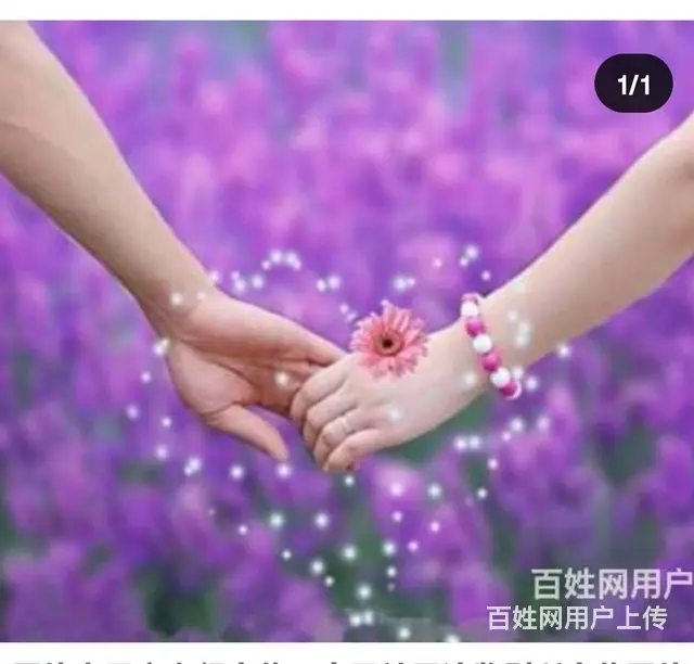 愿得一人心 - 图片