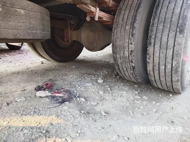 出售二手重汽豪沃TX 6.8米高栏 国6 - 图片 8