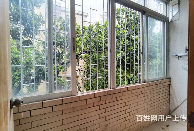 夏湾海和园精装2房2厅出租，租价2500。近关口 - 图片 9