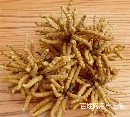 花都回收冬虫夏草价格和冬虫夏草的功效 - 图片 1