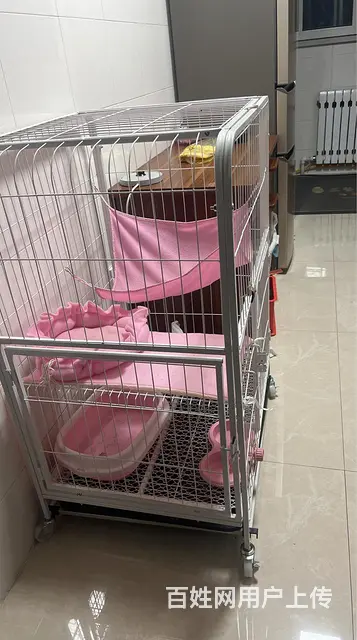猫笼子及用品 - 图片 1