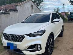 WEY VV6 2021款 2.0T 双离合 四驱智驭+
