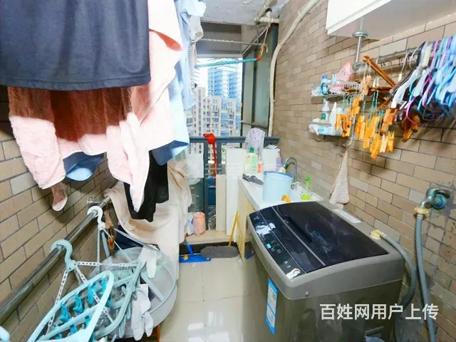 倾城之恋，滨江区政府，标准两房，小区中间 - 图片 11