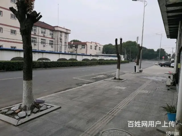 儒林大面积商铺出租 - 图片 1