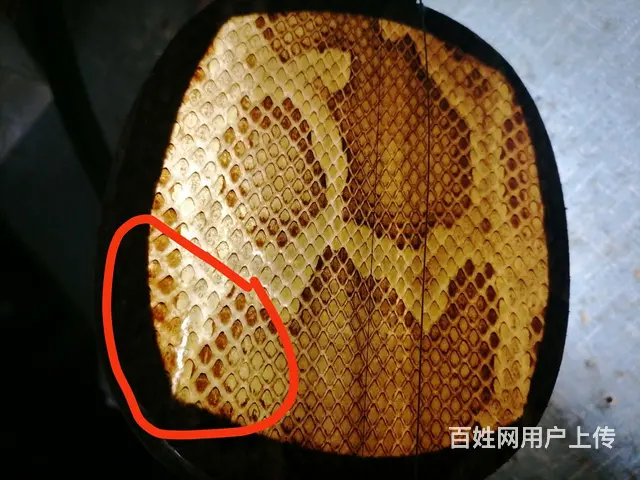 大三弦中三弦小三弦维修广告长期有效 - 图片 3