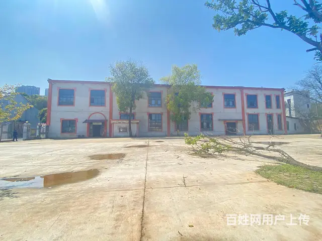 （房东直租）新开铺，南郊公园旁占地7亩厂房，房屋出租，可分租 - 图片 2