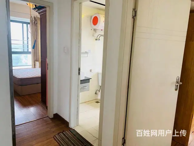出租中城.花园虹梅苑精品 便宜 只此一套 - 图片 3