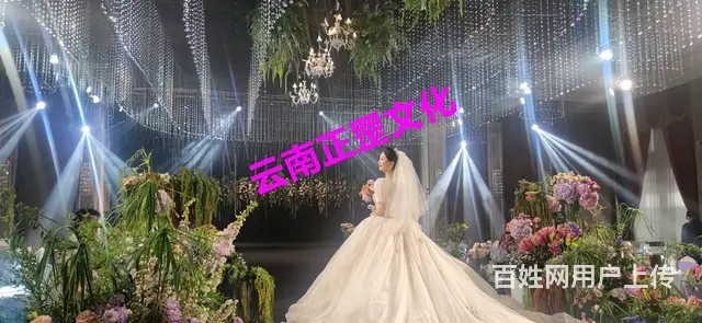 婚礼布置、灯光音响、鲜花装饰、主持人、演出团队服务 - 图片 7