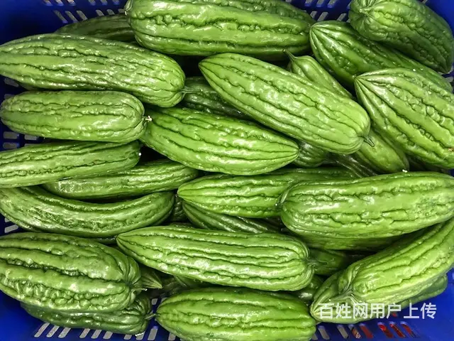 广州食堂食材配送公司，全程冷链配送，食材新鲜准时达 - 图片 2