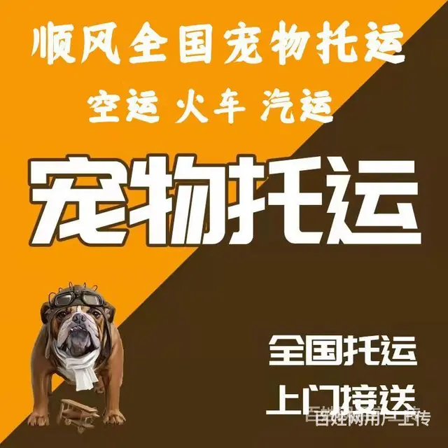 2022安宁市到全国）宠物托运（猫狗）邮寄快递（宠物活体运输 - 图片 6