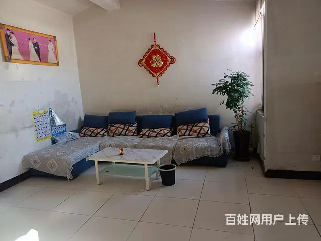 房屋出租 - 图片 2