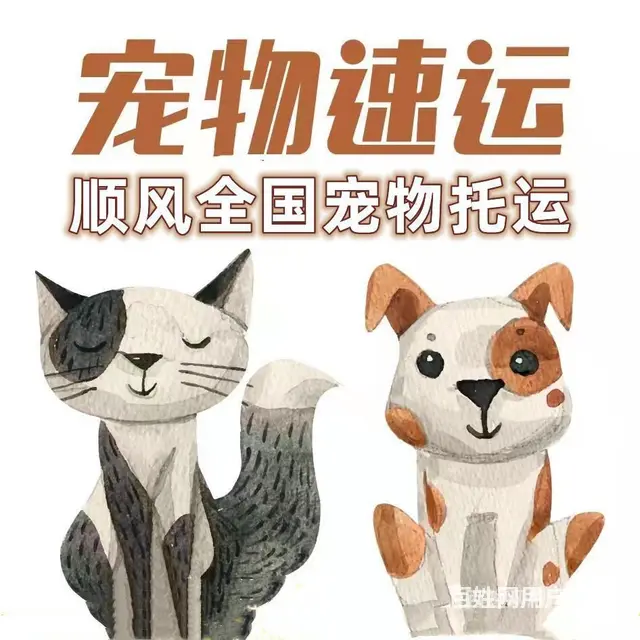 涡阳县 宠物托运（猫狗兔柴犬）邮寄快递2022（宠物活体运输 - 图片 1