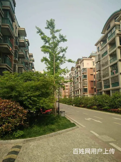 东方红郡 品质小区 近轻轨 双高铁 自带幼儿园 - 图片 1