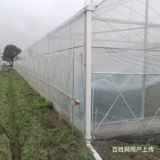 联动大棚出租 - 图片 5