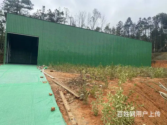 （房东直租）雷锋大道300，500平两栋厂房带1000多外坪 - 图片 5
